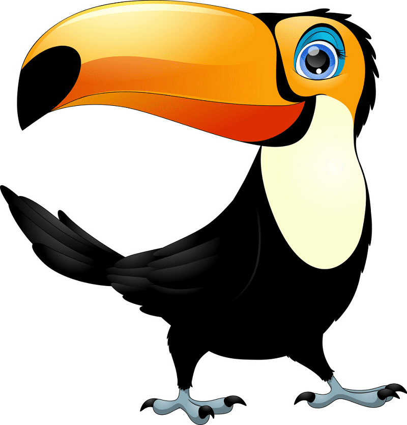 Toucan clipart for free