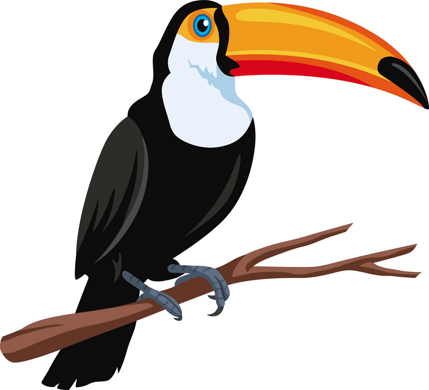 Toucan clipart free