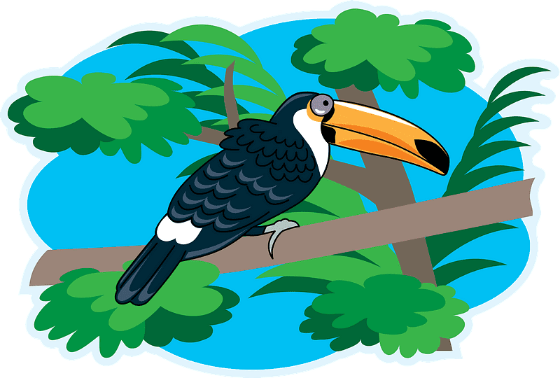 Toucan clipart transparent background 2