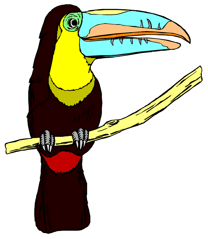 Toucan Clipart