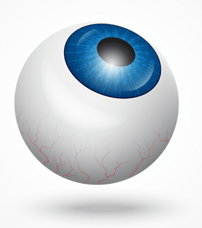 Download Clipart Eyeball