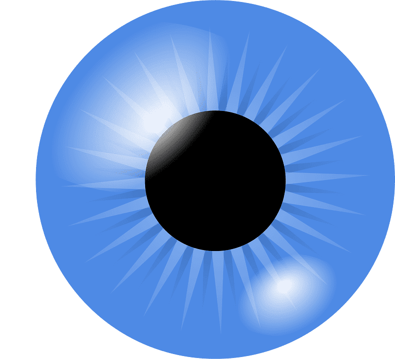Download Eyeball Clipart Transparent Background