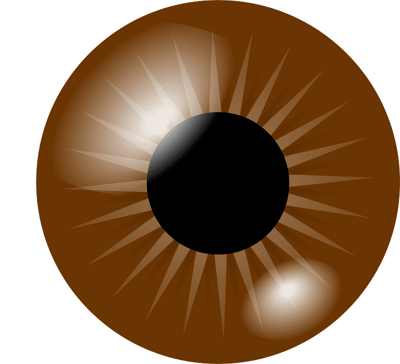 Download Eyeball Clipart Transparent