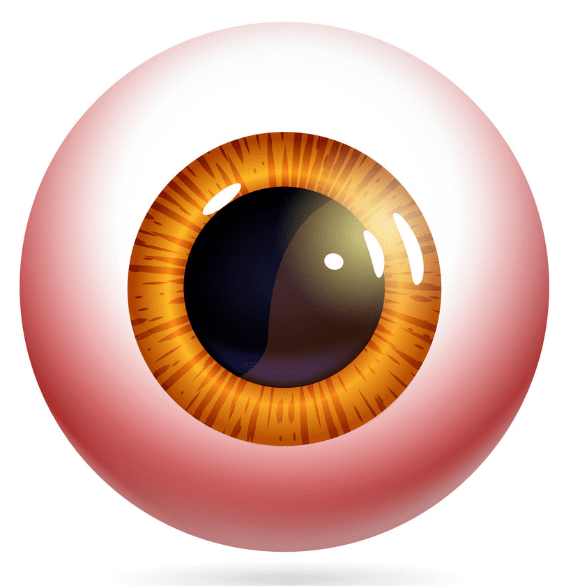 Eyeball Clipart Free Download