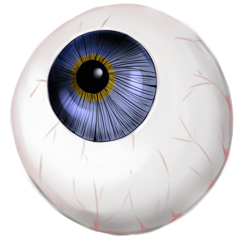 Eyeball Clipart Free Image