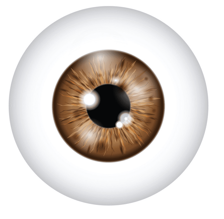 Eyeball Clipart Images