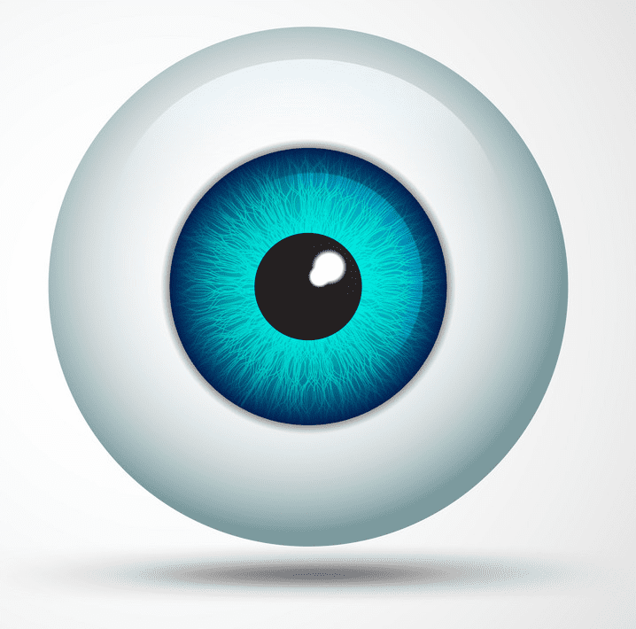 Eyeball Clipart Png Image