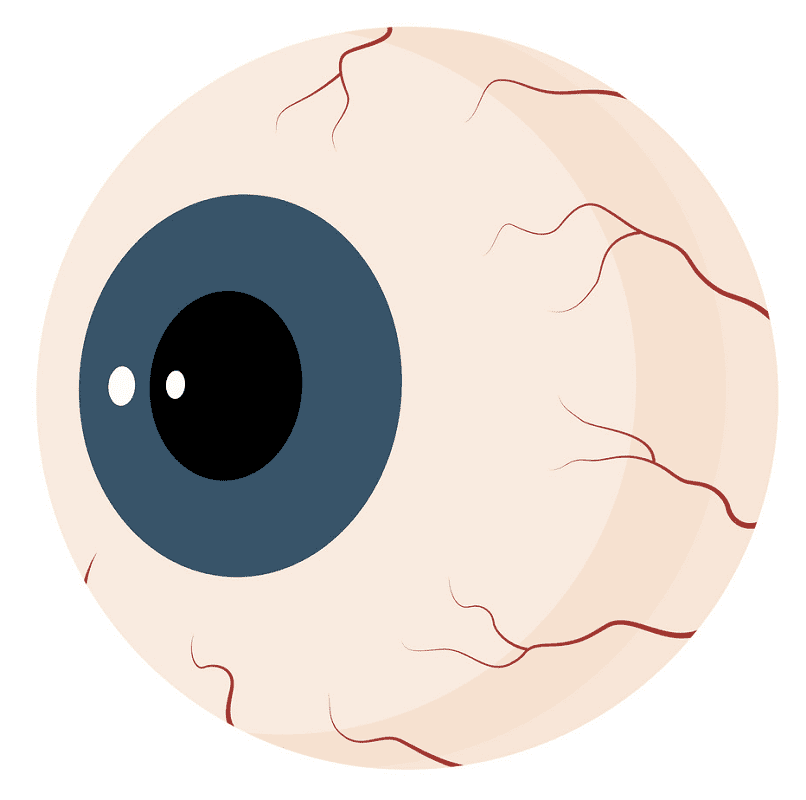 Eyeball Clipart Png Images