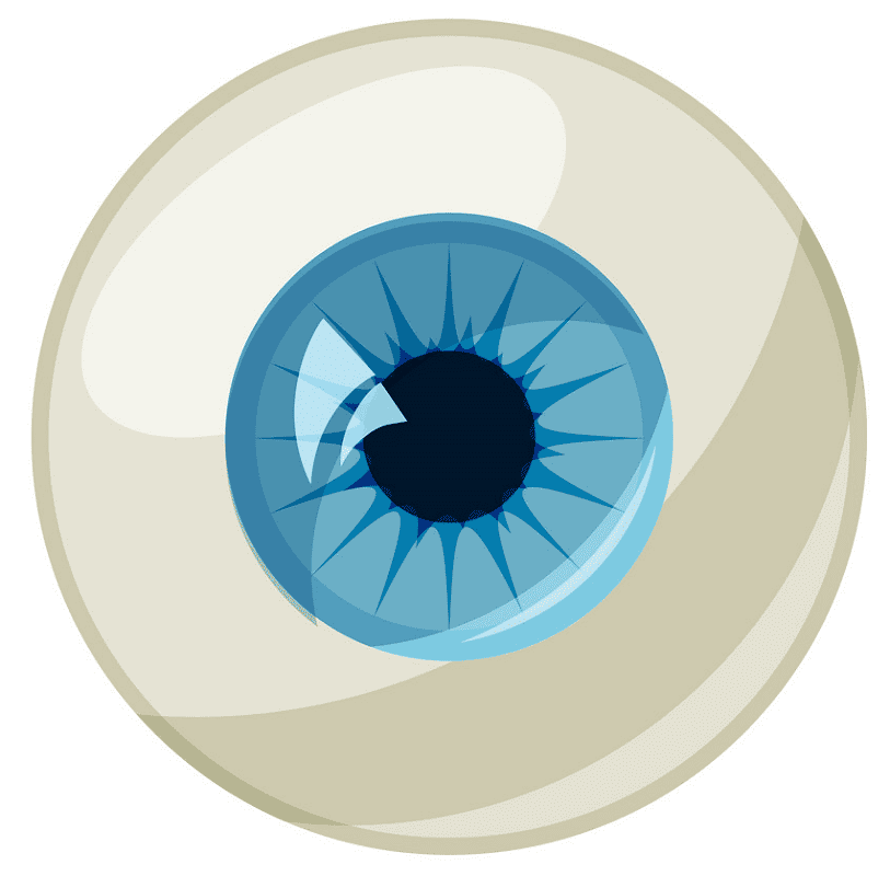 Eyeball Clipart Png Picture
