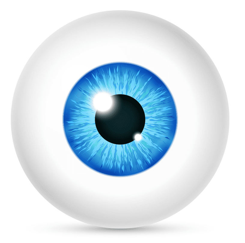 Eyeball Clipart Png