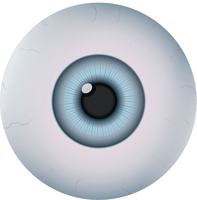 Eyeball Clipart Transparent 2
