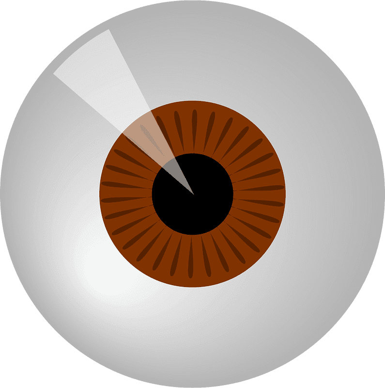 Eyeball Clipart Transparent 3