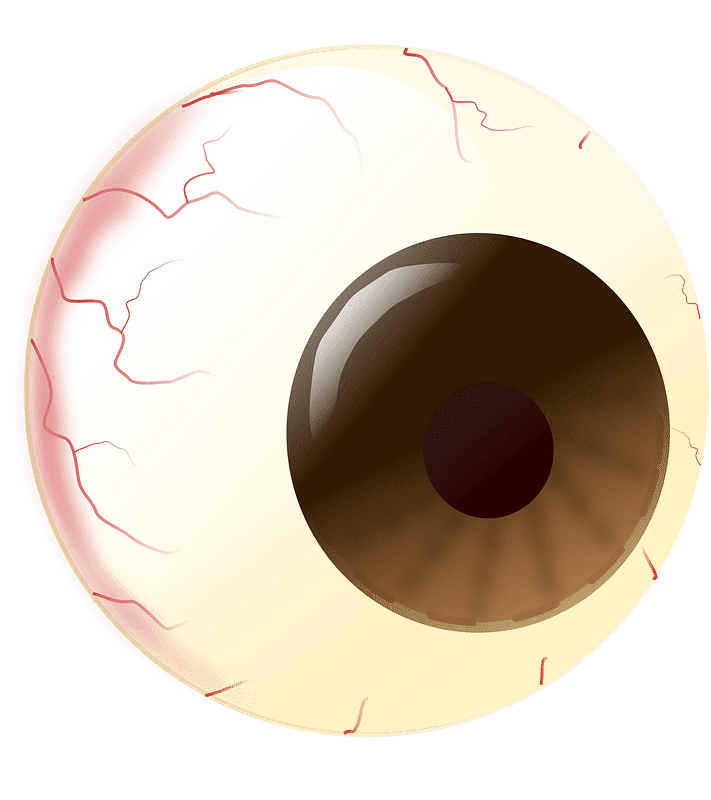 Eyeball Clipart Transparent 4