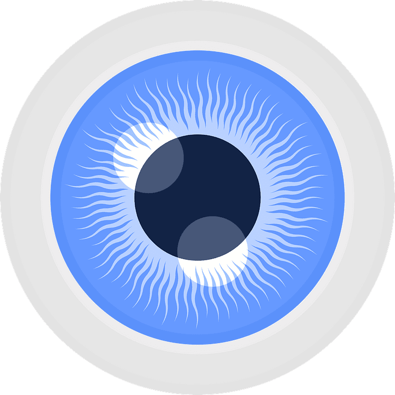 Eyeball Clipart Transparent Background 6