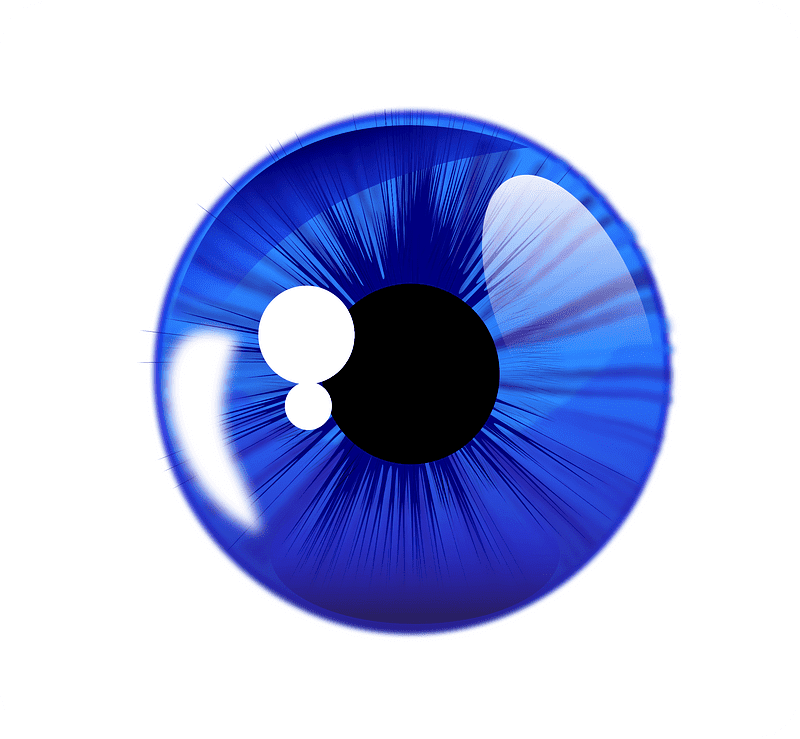 Eyeball Clipart Transparent Download
