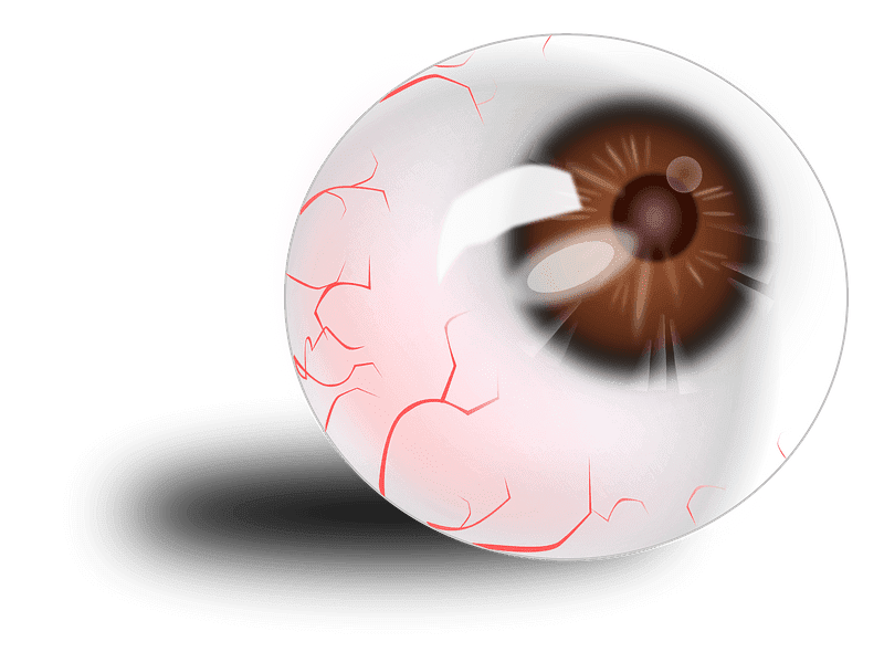 Eyeball Clipart Transparent For Free
