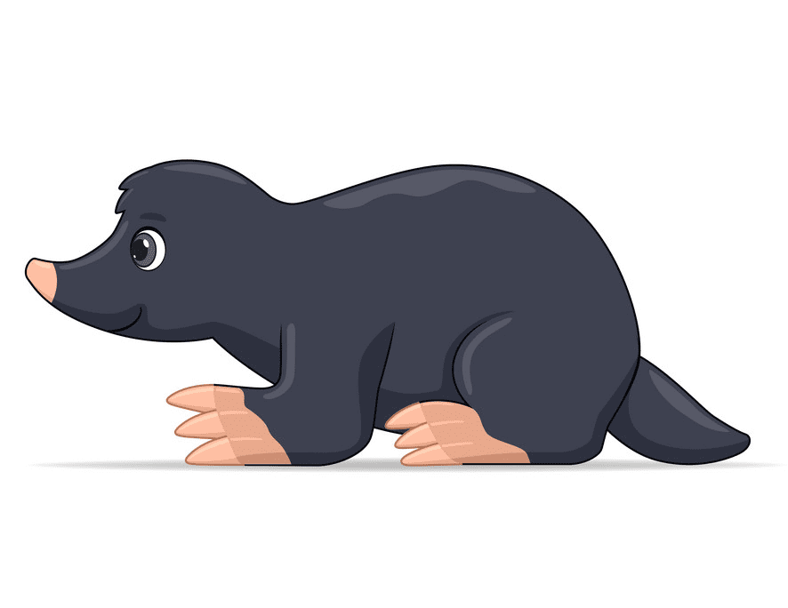 Free Mole Clipart Png
