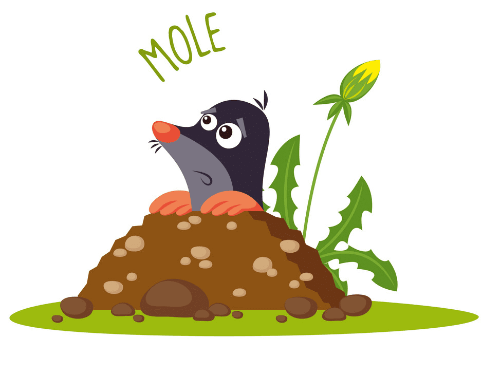 Mole Clipart Download