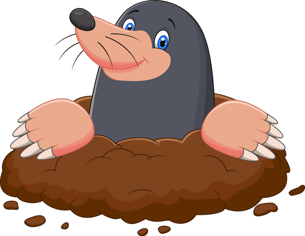 Mole Clipart Image