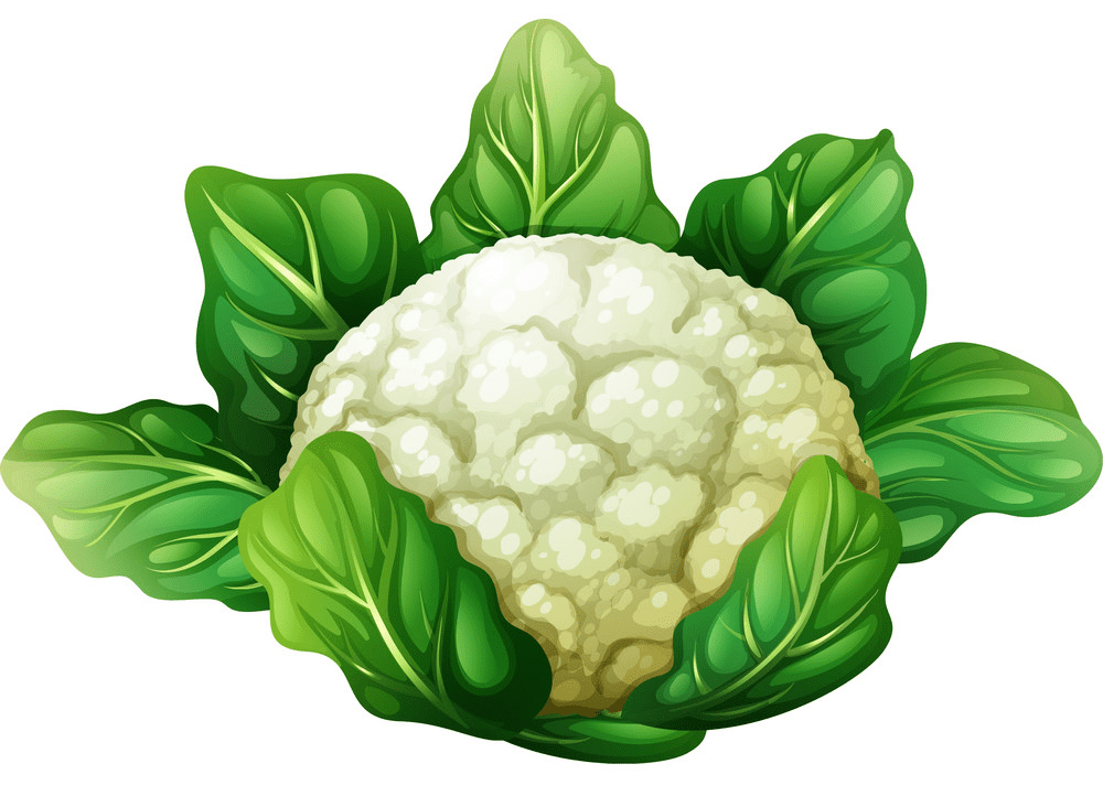 Cauliflower Clipart Image