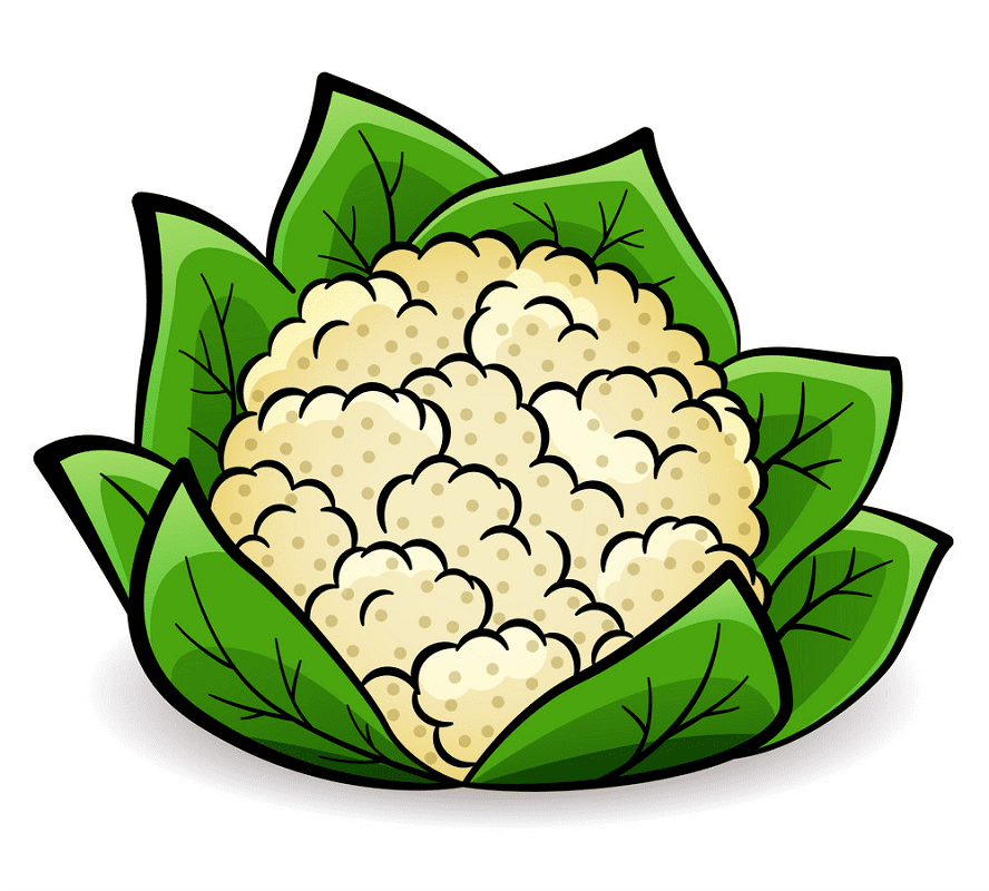 Cauliflower Clipart Png Image