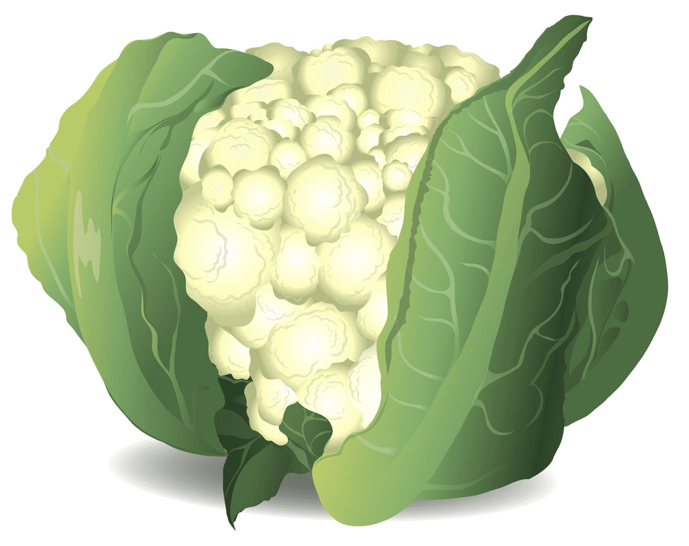 Cauliflower Clipart Png