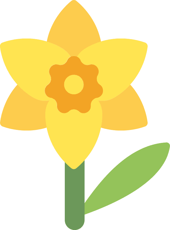 Daffodil Clipart Transparent Download