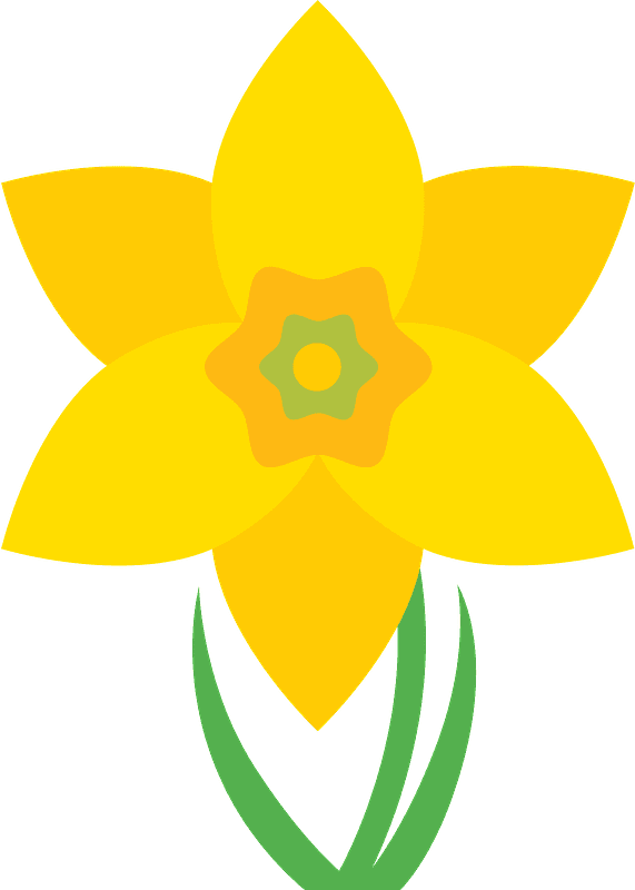 Daffodil Clipart Transparent Image