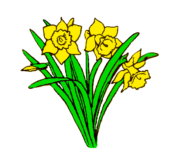 Daffodil Flower Clipart