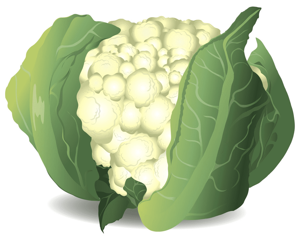 Download Cauliflower Clipart Png
