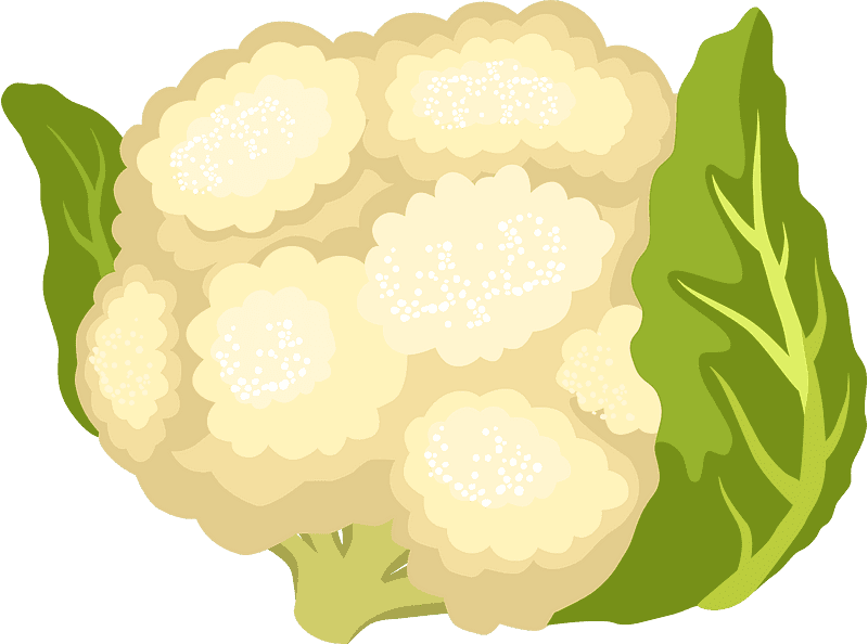 Download Cauliflower Clipart Transparent Background