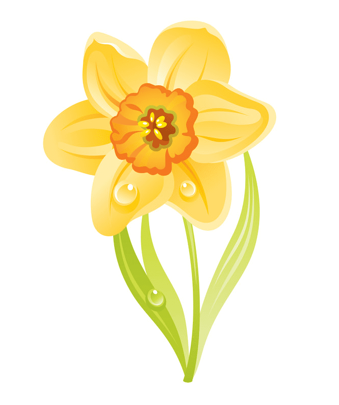 Download Daffodil Clipart For Free