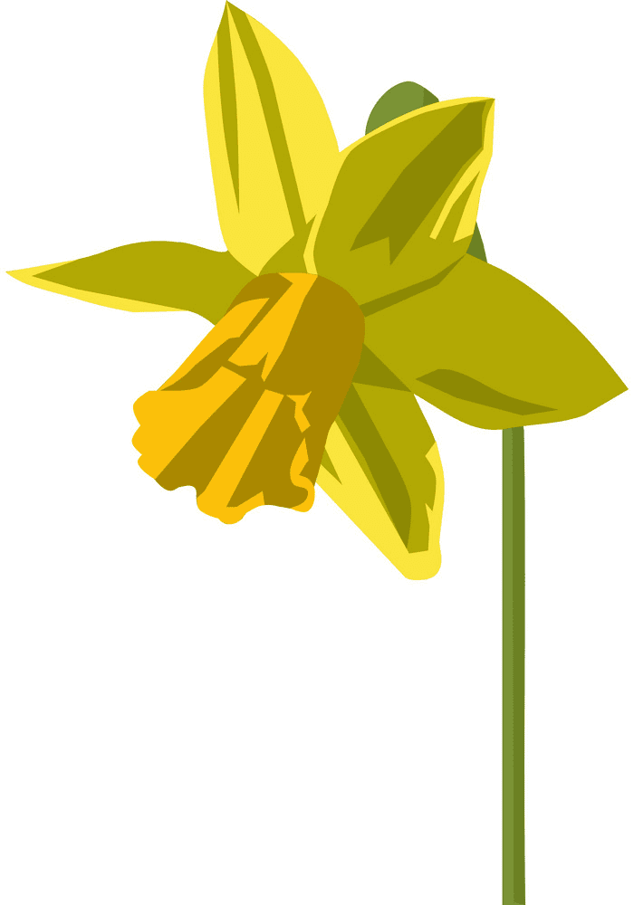 Download Daffodil Clipart Png