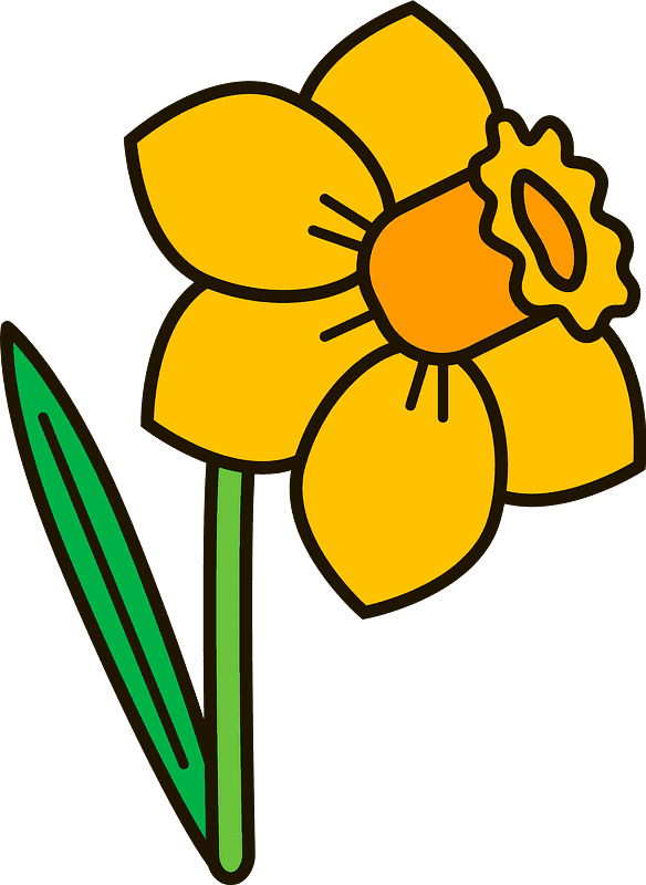 Download Daffodil Clipart Transparent Background