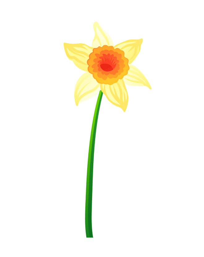 Download Daffodil Clipart