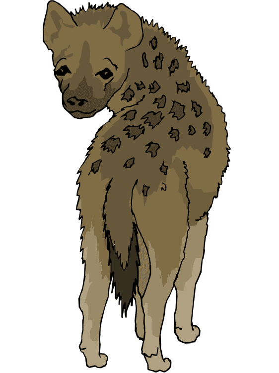 Download Free Hyena Clipart