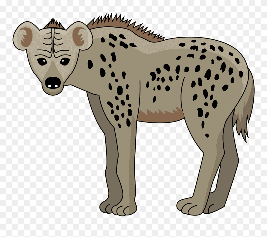 Download Hyena Clipart For Free