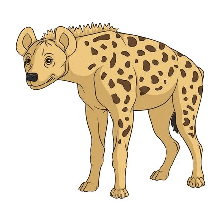 Download Hyena Clipart Image