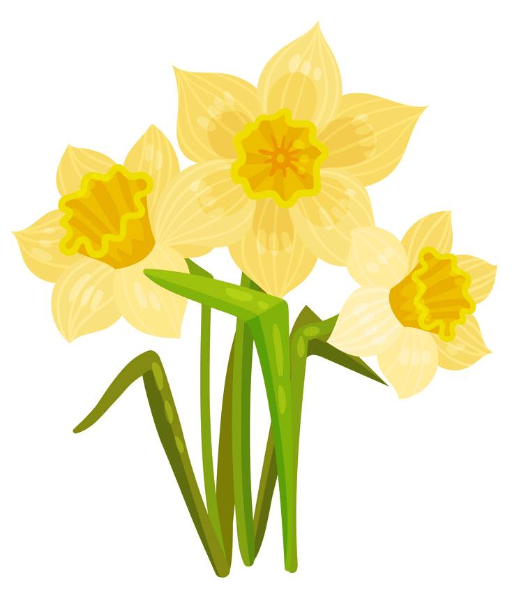 Free Daffodil Clipart Images