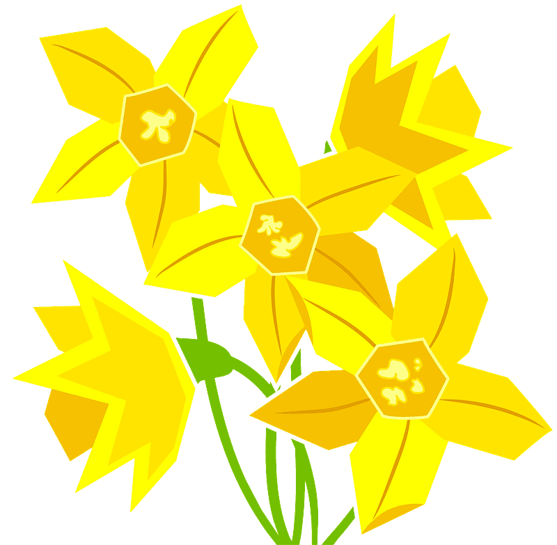 Free Daffodil Clipart Transparent