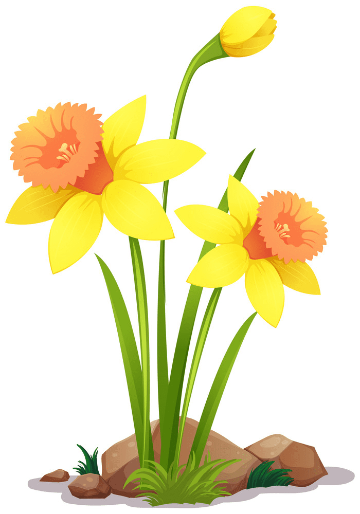 Free Daffodil Clipart