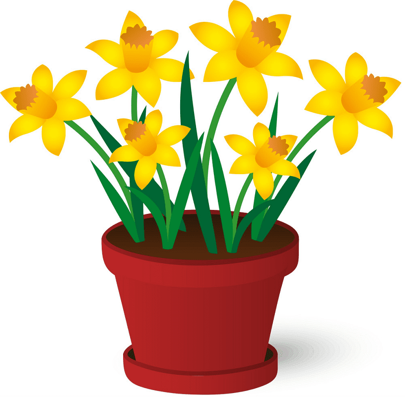 Free Download Daffodil Clipart