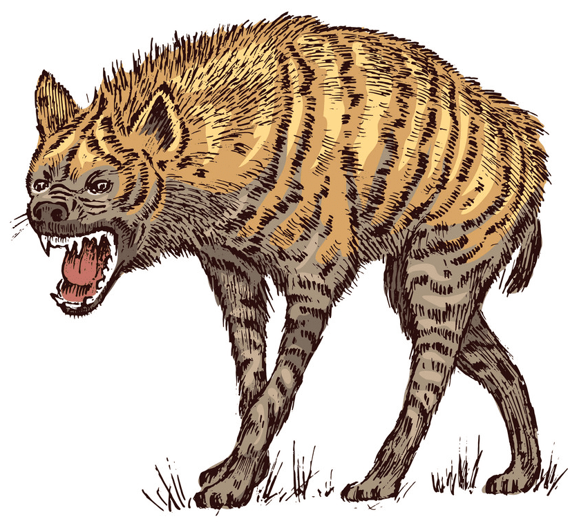 Hyena Clipart Free Picture