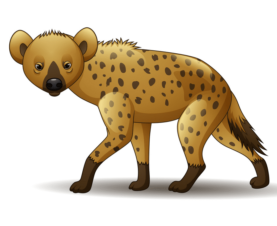 Hyena Clipart Image