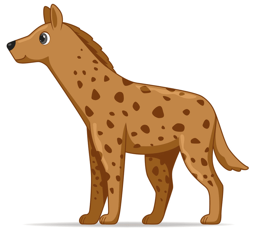 Hyena Clipart Images