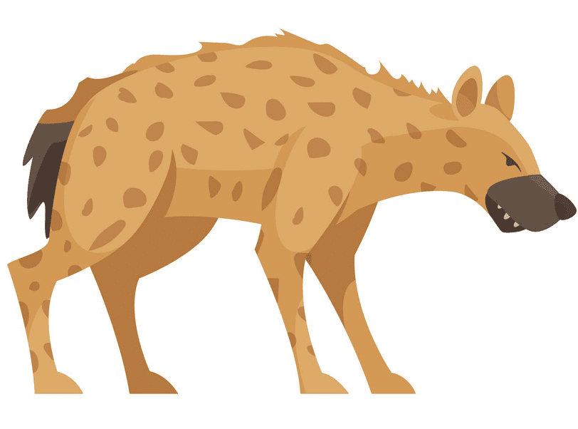 Hyena Clipart Png Images