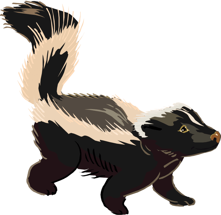 Skunk Clipart Free 4