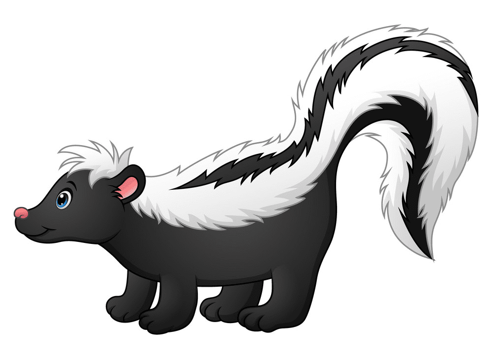Skunk Clipart Free Image