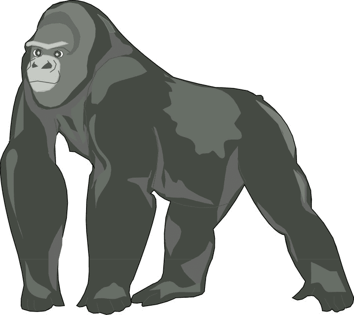 Clipart Gorilla Image