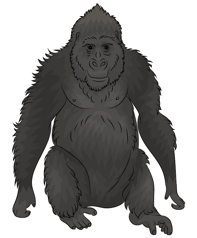 Download Gorilla Clipart Transparent Background